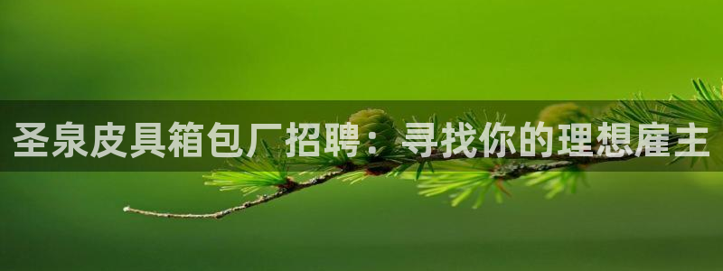 wow卧龙娱乐集团