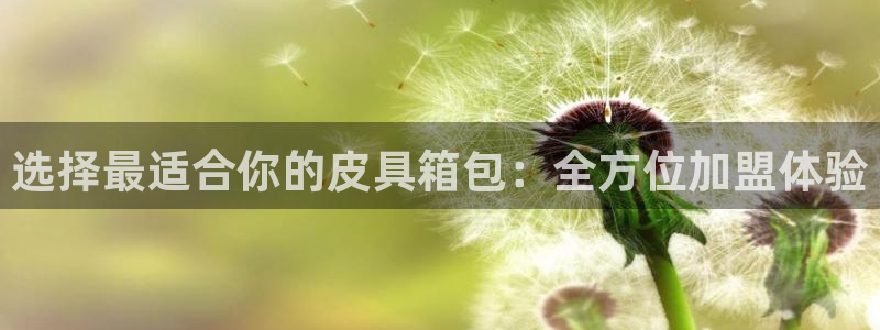 超越娱乐b卧龙313322