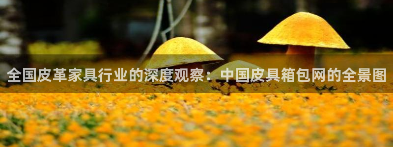 sky娱乐- 0 47卧龙