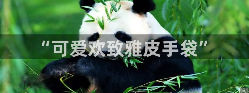 卧龙娱乐山西