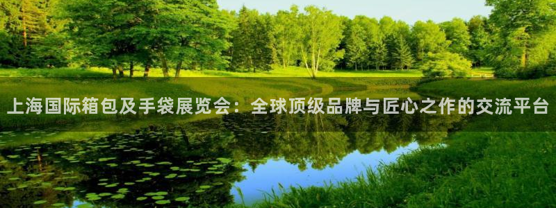 卧龙娱乐382223