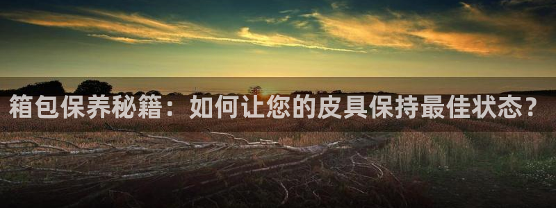 卧龙游乐娱乐设备