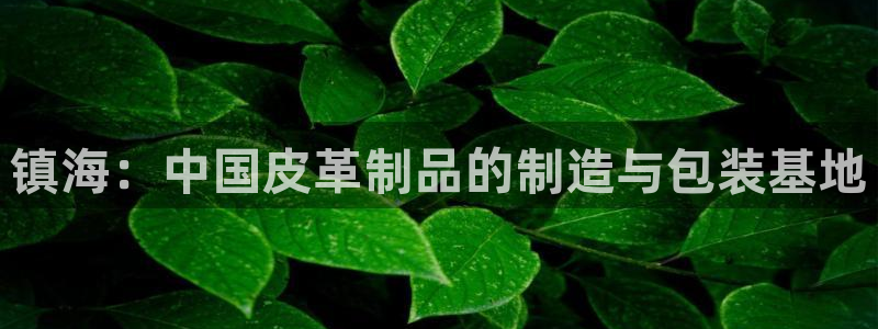 卧龙娱乐属于哪个集团