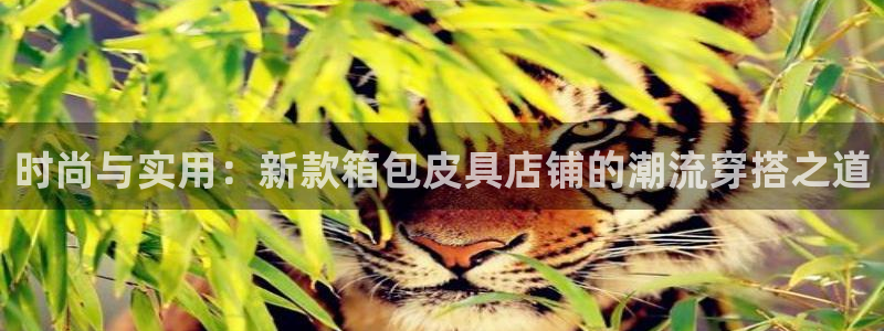 卧龙港娱乐城
