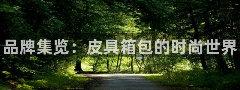 mvp娱乐 卧龙招商60447