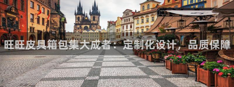 卧龙娱乐招商主管薪资