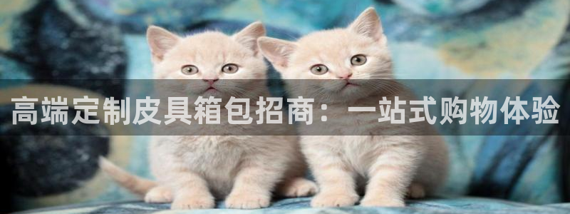 南阳卧龙娱乐会所