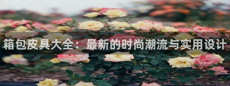 卧龙棋牌娱乐官网