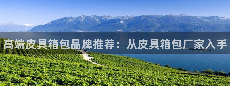 卧龙娱乐382223