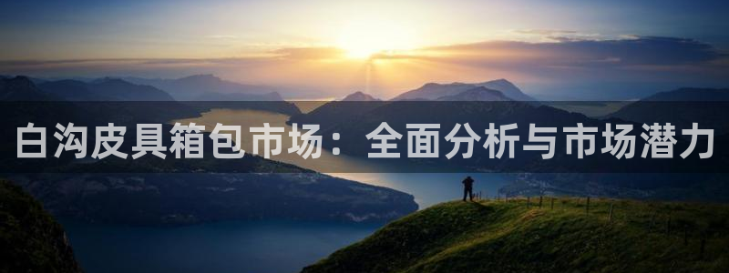 卧龙区微微娱乐商城