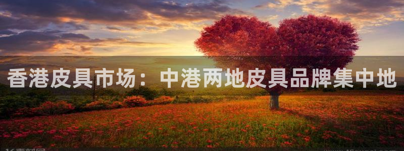 卧龙娱乐app彩票中奖