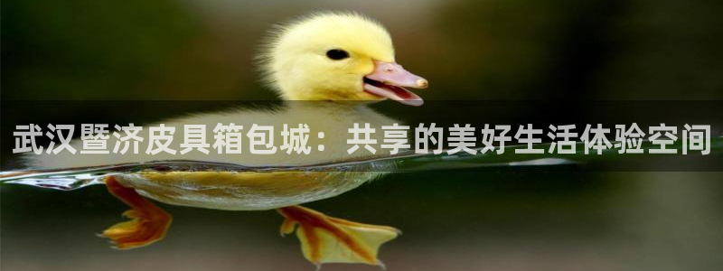 卧龙娱乐 找86555