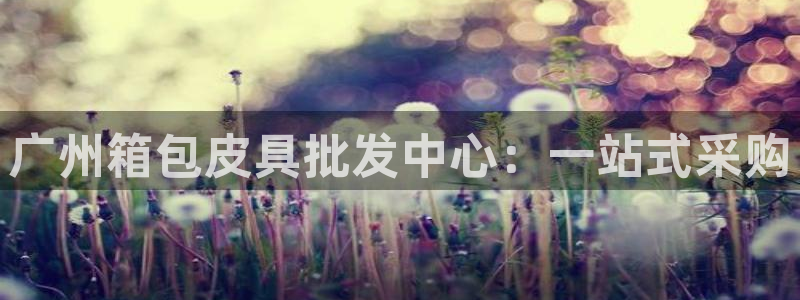 卧龙娱乐注册地址