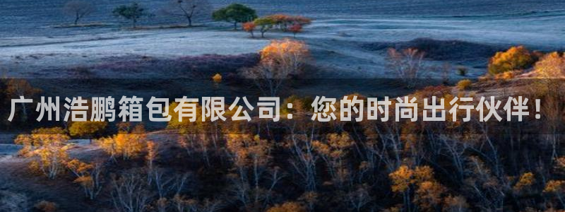 娱乐圈卧龙凤雏