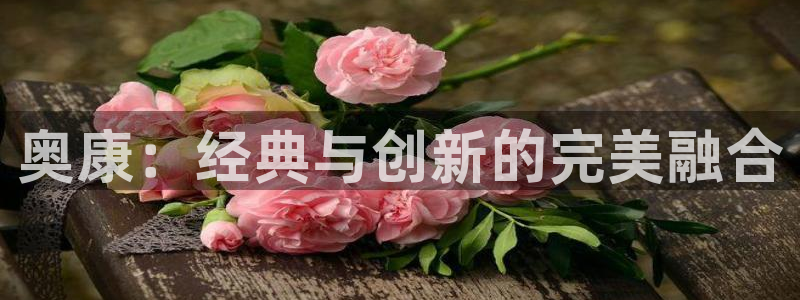 卧龙娱乐有限公司