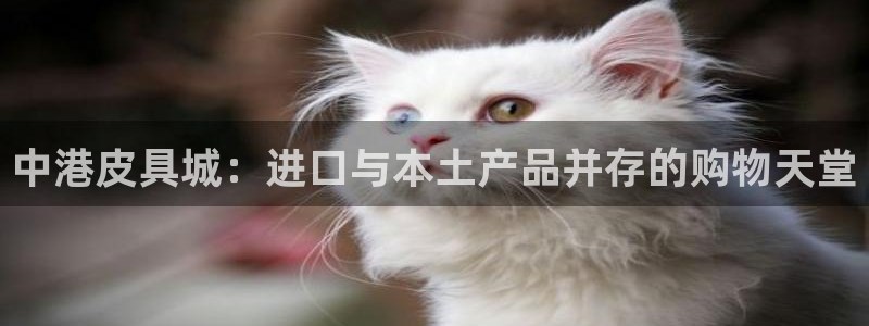 卧龙娱乐滴qv382223