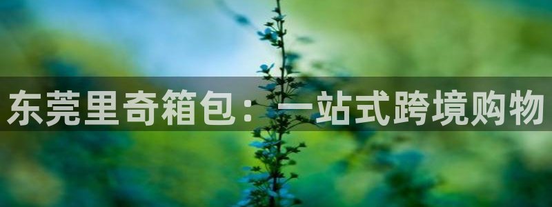 西安卧龙娱乐播报