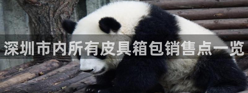 卧龙湾娱乐休闲会所电话