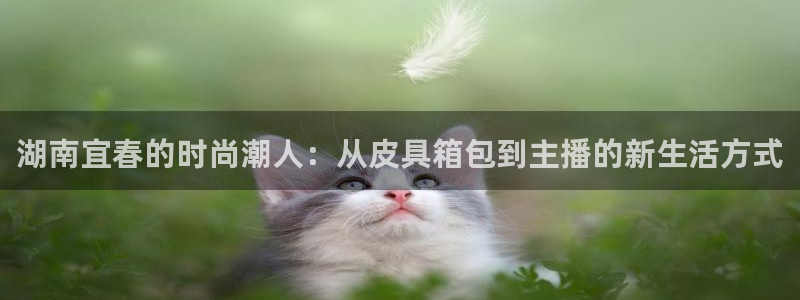 卧龙凤雏娱乐解说