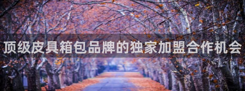 卧龙娱乐设备地址