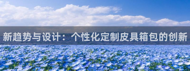 卧龙区凤凰娱乐