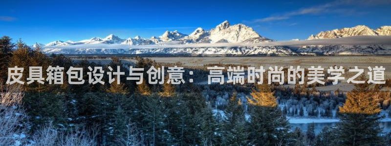 卧龙娱乐注册地址在哪里