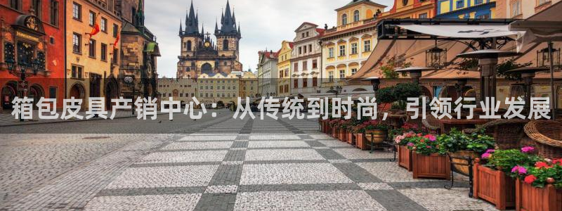 卧龙娱乐老板是谁呀视频