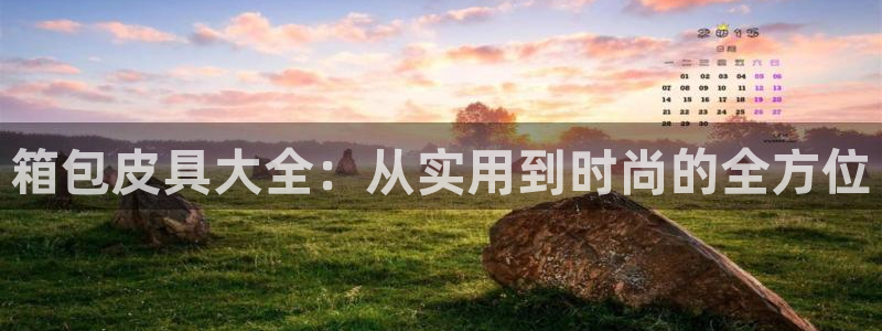 卧龙娱乐老板是谁啊