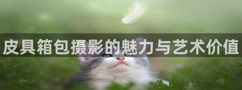 卧龙公园的娱乐项目