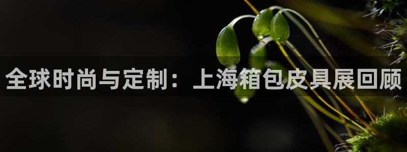 卧龙娱乐3月10日开