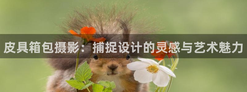 卧龙娱乐招商代理是谁