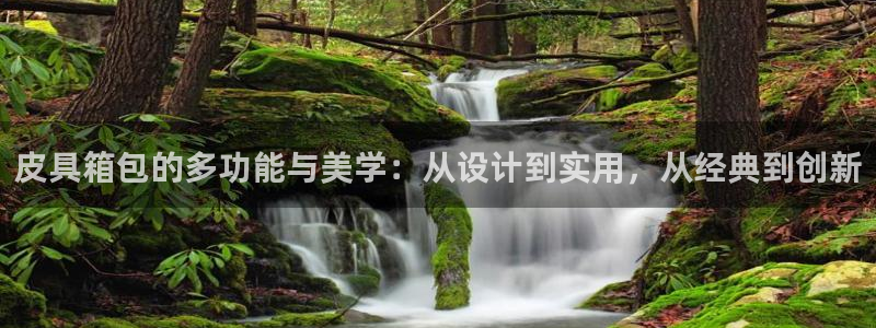 卧龙娱乐注册登录