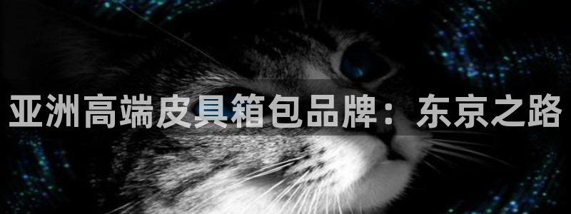 卧龙娱乐能出款吗