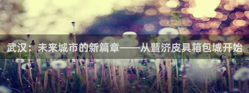 卧龙娱乐彩下载