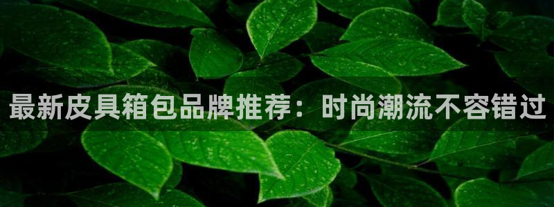 卧龙凤雏娱乐直播