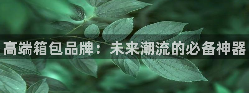 卧龙传统娱乐团购