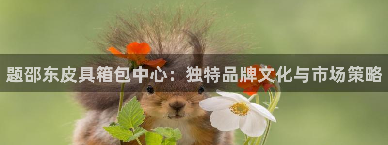 卧龙娱乐找382223