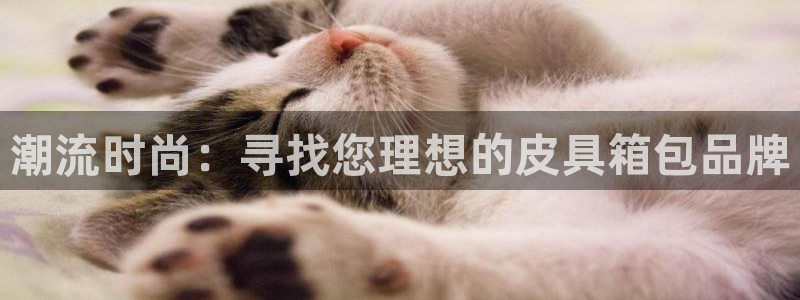 卧龙娱乐平台登录入口