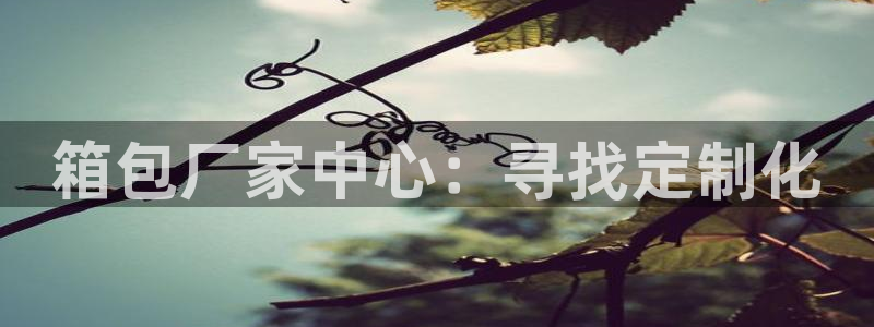 卧龙娱乐招商代理怎么样