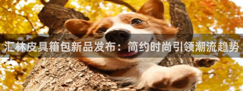 we娱乐 卧龙股东60447