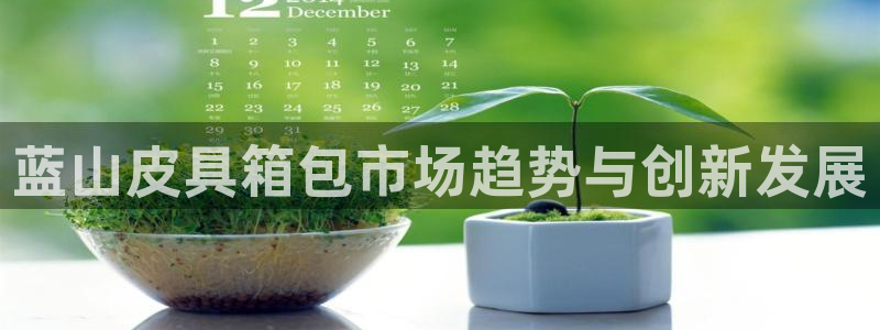 卧龙娱乐计划