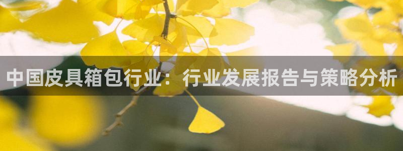 星鸿娱乐 0 47卧龙