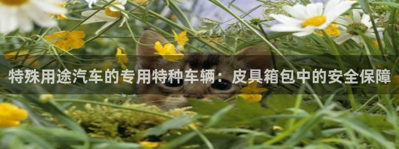 卧龙娱乐396667