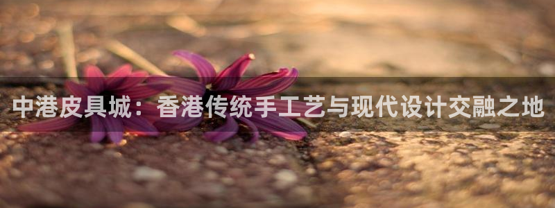 卧龙娱乐彩票兑奖中心
