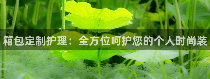 卧龙娱乐怎样注册
