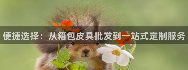 qq娱乐 卧龙主管60447