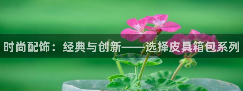 卧龙娱乐滴qv382223