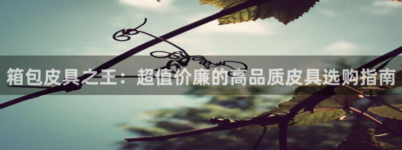 卧龙娱乐属于什么行业
