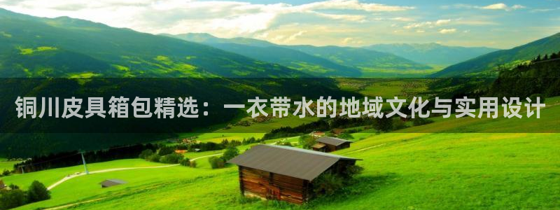 卧龙娱乐老板是谁呀视频