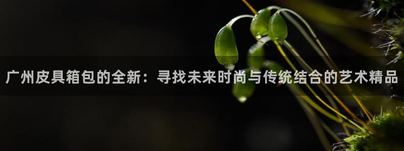 卧龙娱乐老板是谁